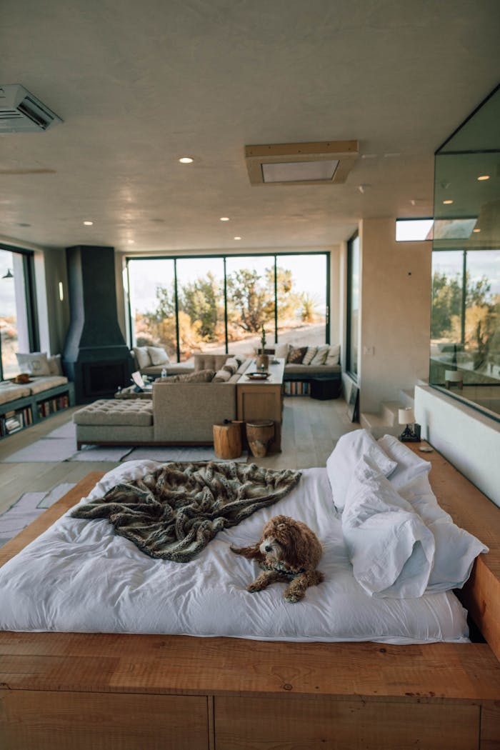 our-services-1 A contemporary Joshua Tree bedroom with plush bedding, stylish decor, and scenic views.