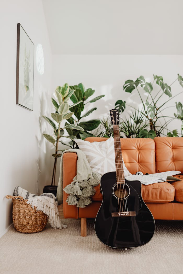 our-services-2 A harmonious living room featuring an acoustic guitar surrounded by lush houseplants and a comfy sofa.